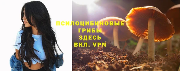 кокаин колумбия Новозыбков